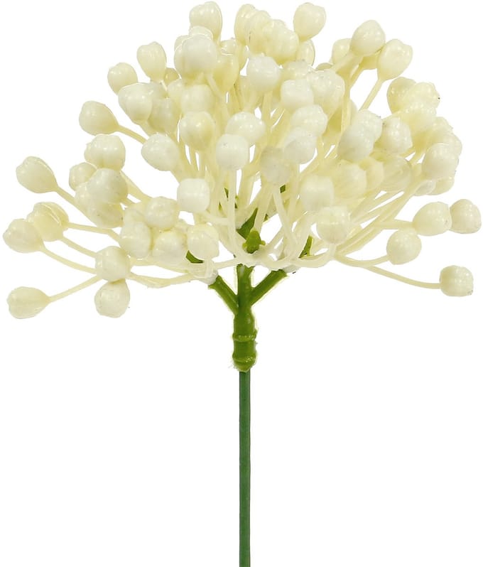 Hortensia knopstoker 22cm crème 12st