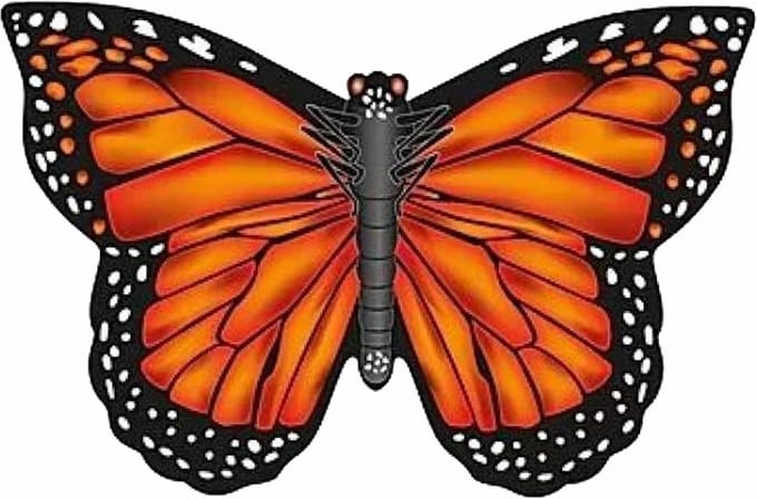 BBIZZ Vlieger vlinder - oranje - B71 cm - nylon