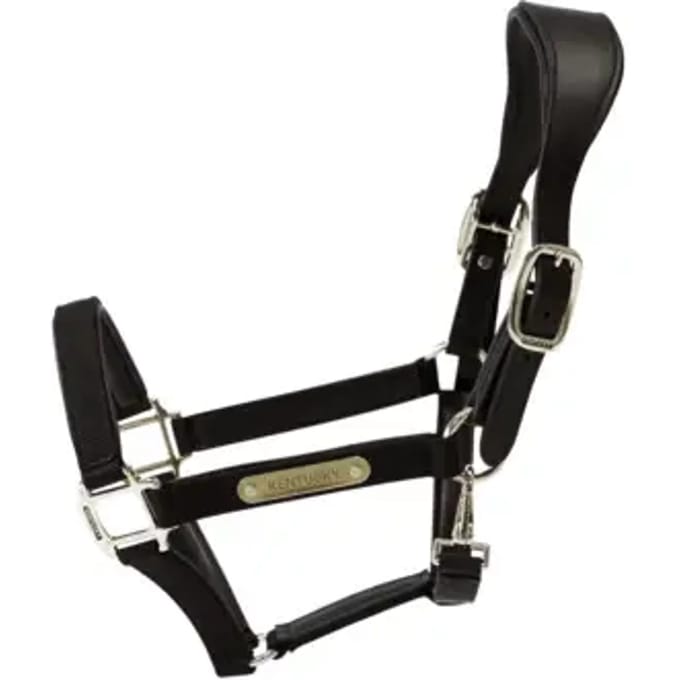 Kentucky Horsewear - Anatomisch Halster -Zwart - Nylon - Maat Full