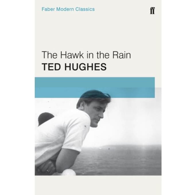 The Hawk In The Rain - Ted Hughes