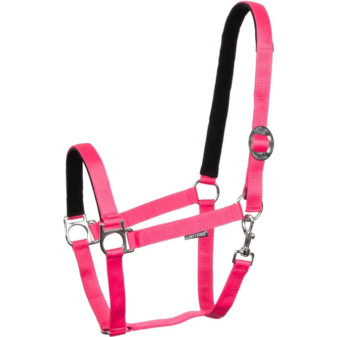 Nylon gevoerde halster voor paard Harry's Horse