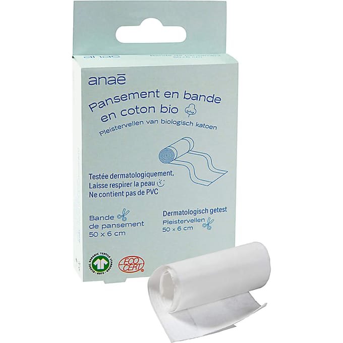Anae Pleisterrol
