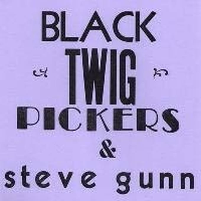 Black Twig Pickers & Steve Gunn - Lonesome Valley (7" Single) (Limited Edition)