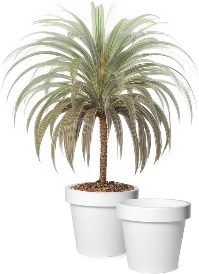 Mega Collections Plantenpot/bloempot - 2x - kunststof - wit - buiten - D30 x H27 cm