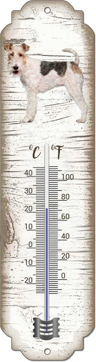 Thermometer: Draadhaar Fox Terriër | Hondenras | Temperatuur binnen en buiten | -25 tot +45C