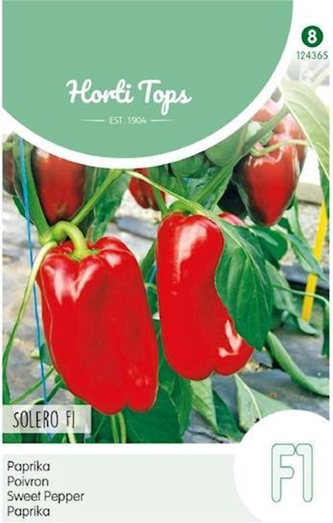 Hortitops Paprika Solero F1 (vh Reina)