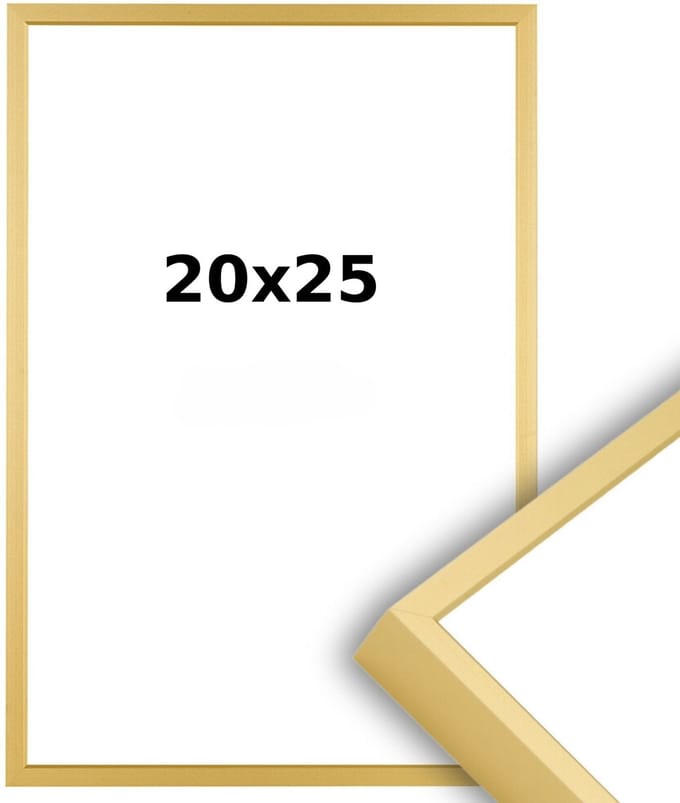 Aluminium Wissellijst 20 x 25 Mat Champagne Goud - Ontspiegeld Glas - Professional