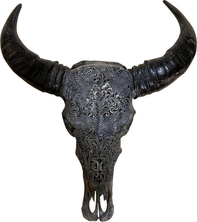 Skull - Buffelschedel - Dierenschedel - Grijs - 90 cm