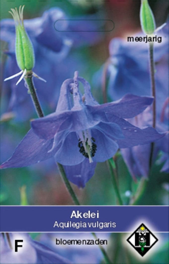 Van Hemert - Wilde Akelei (Aquilegia vulgaris)