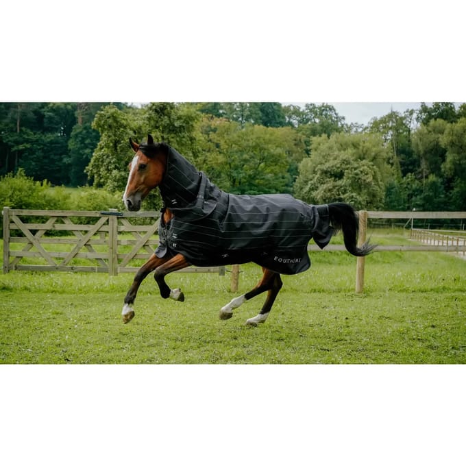 Outdoor paardendeken Equithème Tyrex Lumin 600D 100g
