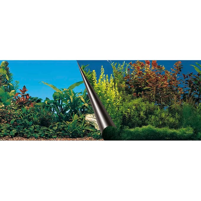 Aquarium achtergrond poster Aqua Della Stone & Coral