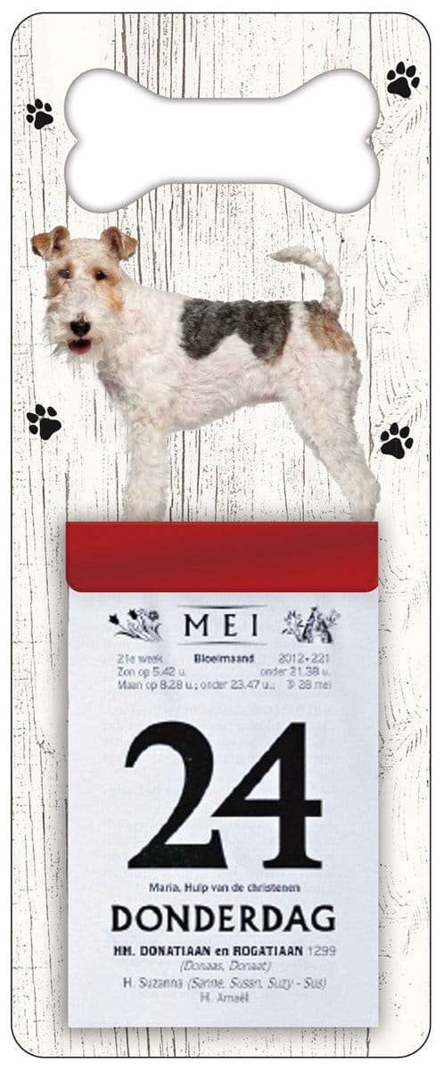 Scheurkalender 2024 Hond: Draadhaar Fox Terrier