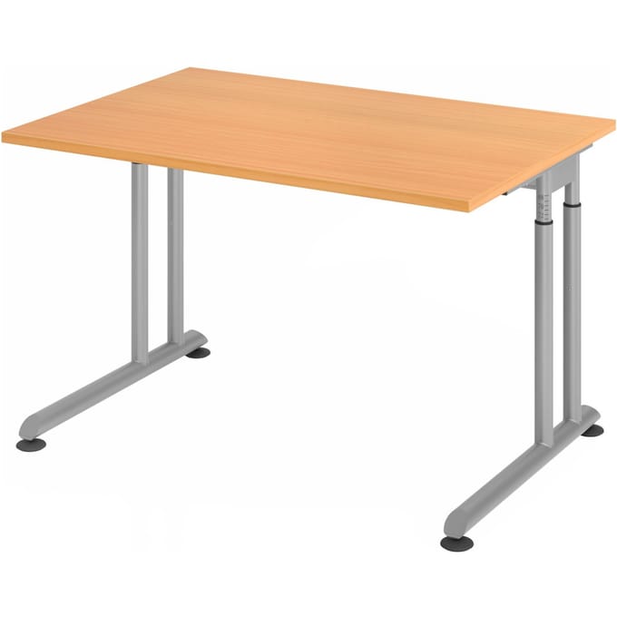 ZENO 12 S | Bureau - 120x80 Beuken/Zilver Tafelhoogte I In hoogte verstelbaar