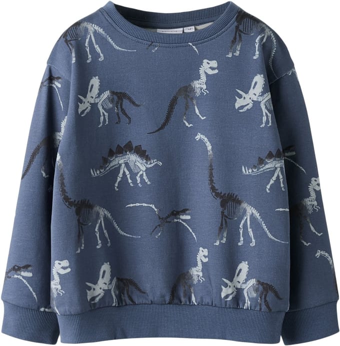 NAME IT - NMMFABIA LS NREG SWEAT UNB - Jongens - Sweaters