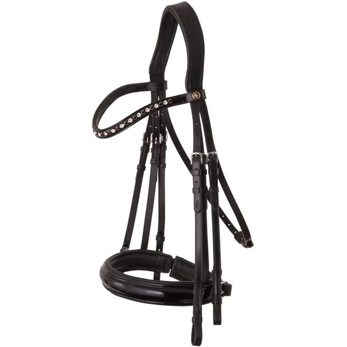 Anatomische hoofdstellen BR Equitation Wendover