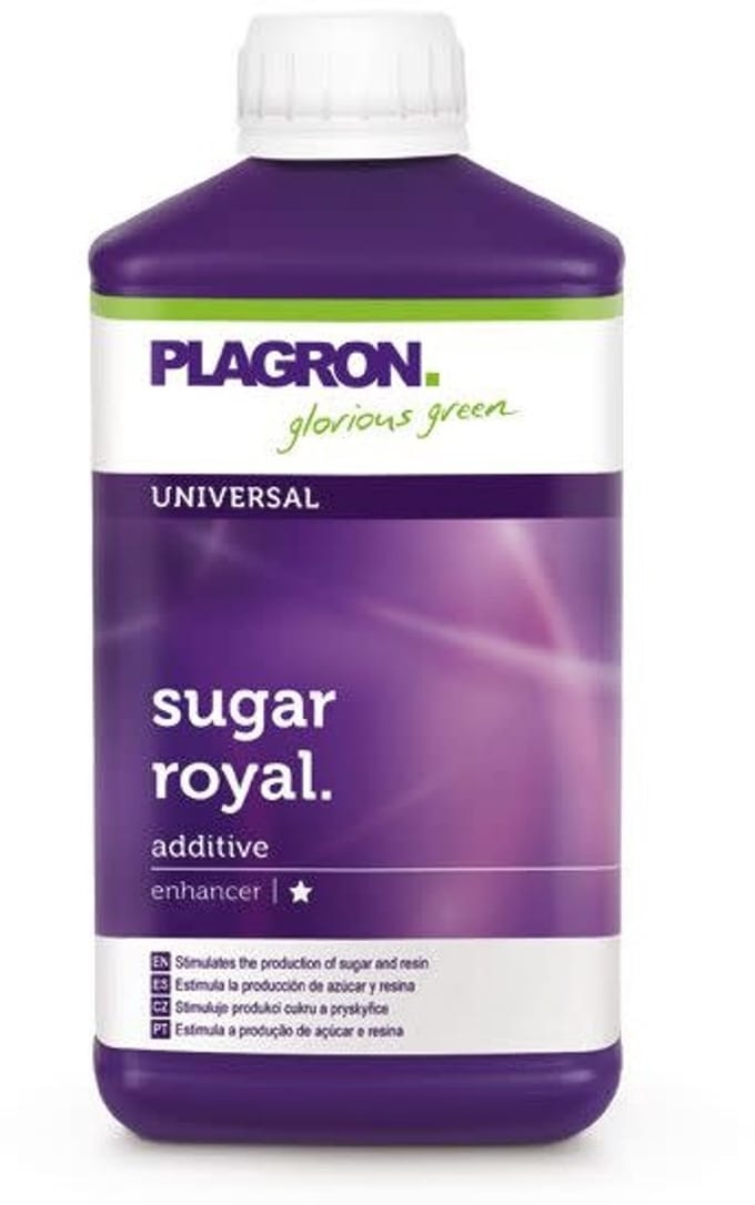 PLAGRON SUGAR ROYAL 500 ML
