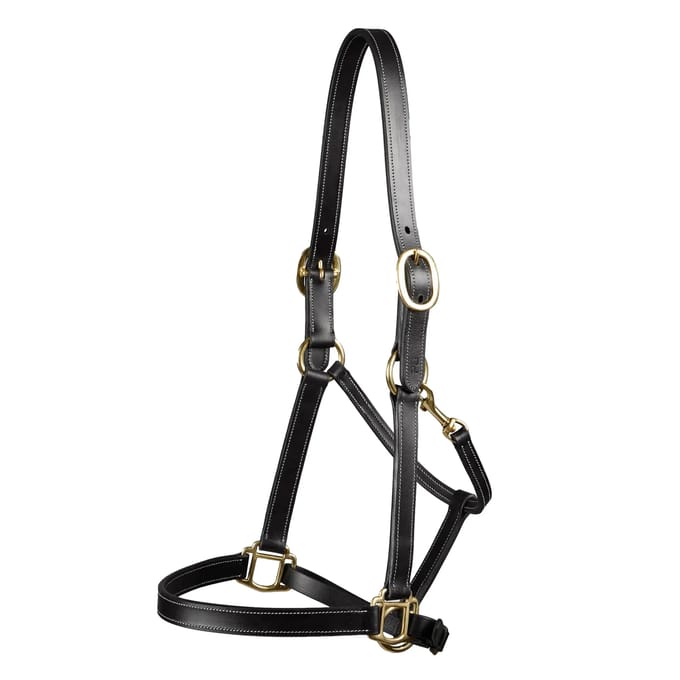 Halster voor paarden Premier Equine