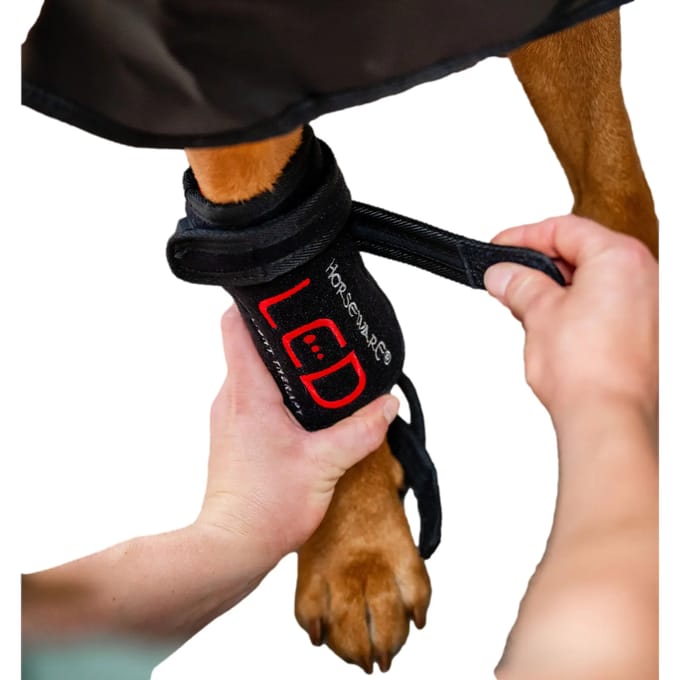 LED Roodlichttherapie Verbanden voor Honden Horseware