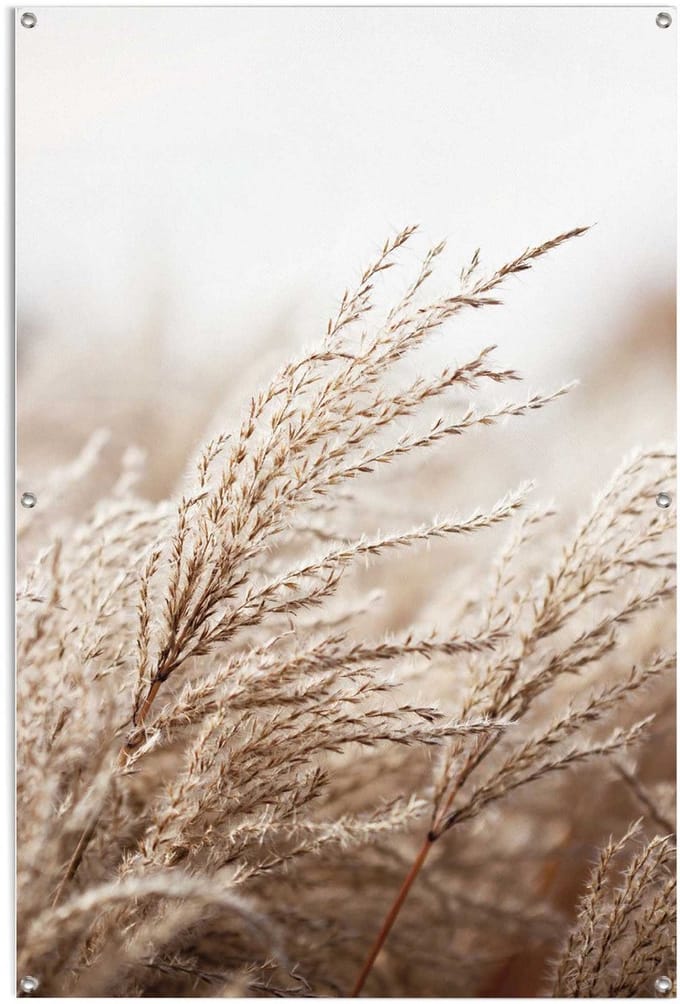 Tuinposter Helmgras - 120 x 80 - Canvas - REINDERS