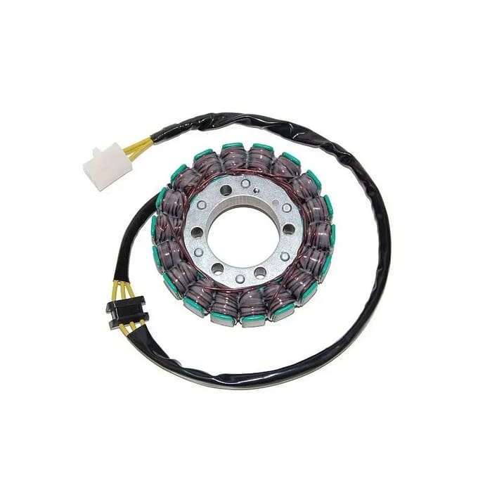 Originele aanpasbare motor dynamo Electrosport Kawasaki