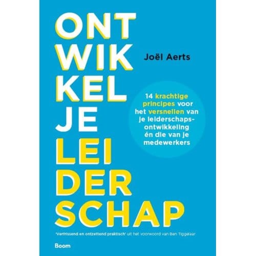 Ontwikkel Je Leiderschap - Joël Aerts