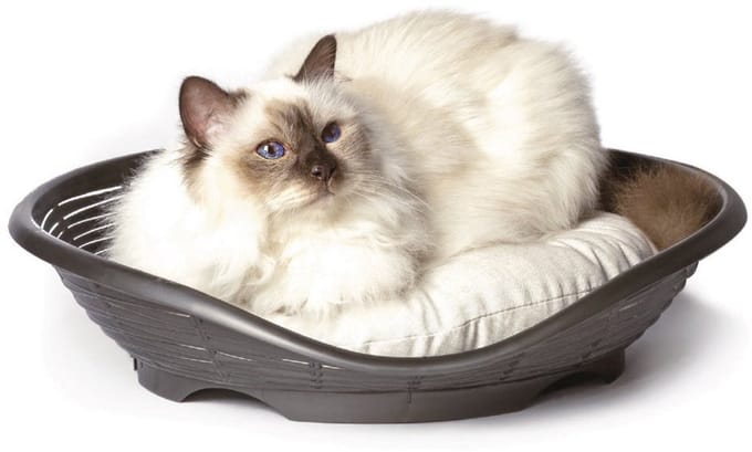 Bama Pet Pasha Mand 48x46x11 cm Antraciet