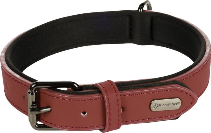 Halsband Binti Rood - Rood - 38 - 48 cm x 25 mm
