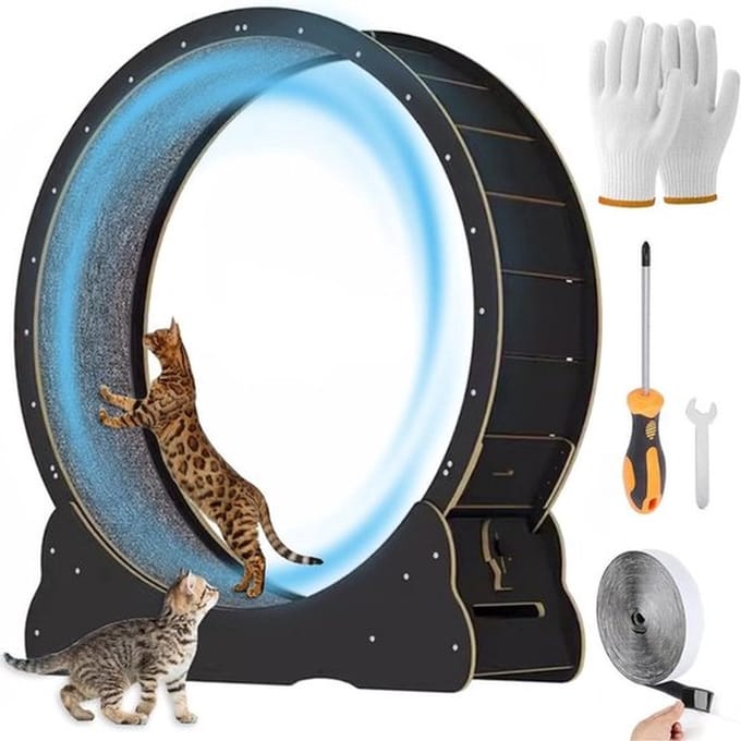 Thuys – Katten Loopwiel – Kattenwiel – Looprad Kat – Loopband – Cat Wheel – Exercise – Kattenspeelgoed – Massief Hout – Complete Set – Houtlook