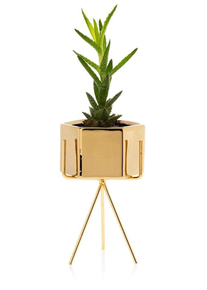 HowHomely Sashi - Bloempot - Goud - 18,5 cm