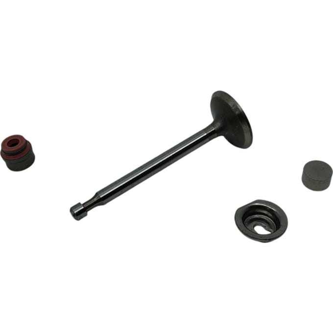 Briggs & stratton inlaatklep