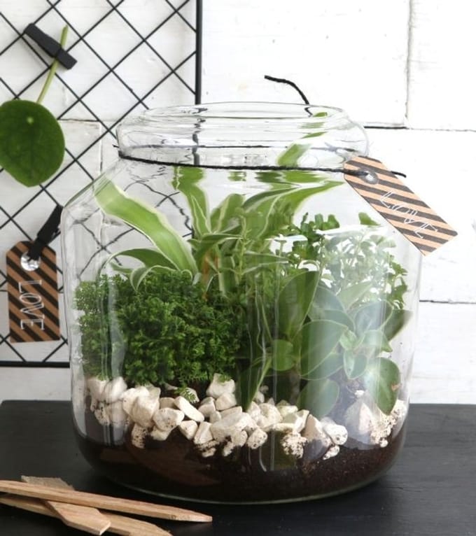 Glazen pot met kurk Ø 18 cm en 18 cm hoog (1 st)