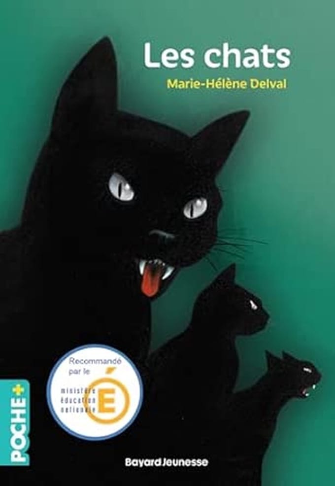 Spannende Verhalen over Zwarte Katten