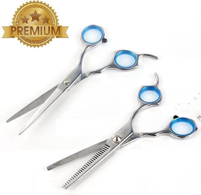 Premium Ergonomische Kappersschaar & Uitdunschaar Set- RVS - 16 CM Effileerschaar / Coupeschaar &  Kapperschaar / Knipschaar