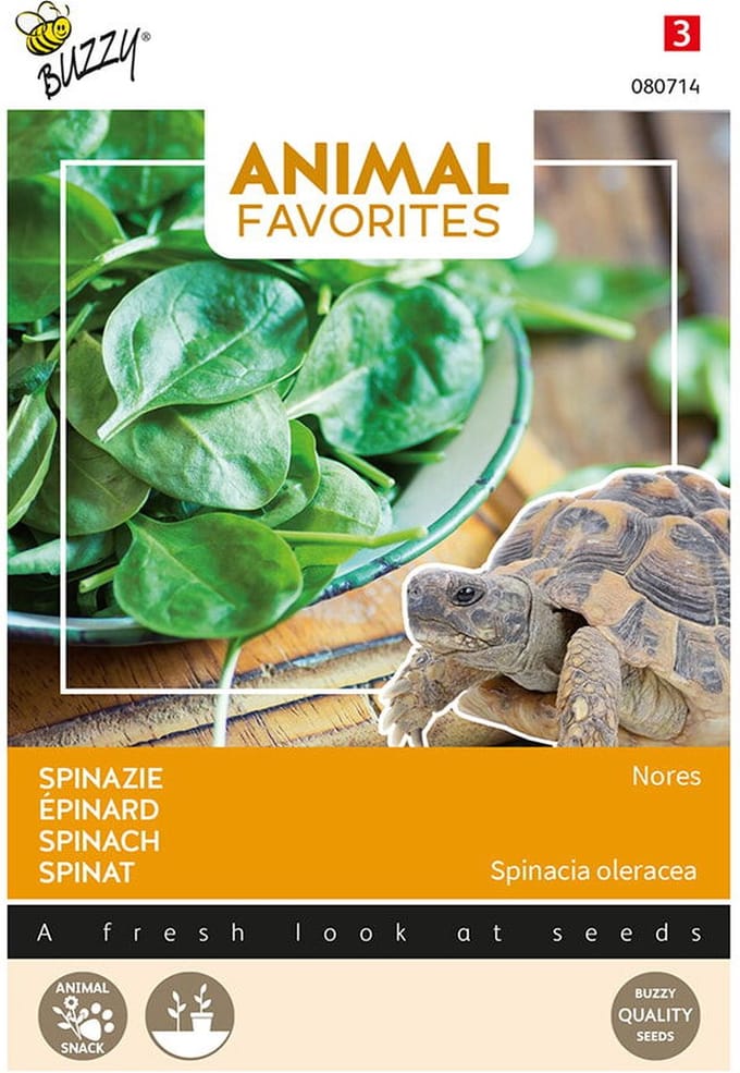 Spinazie - Nores