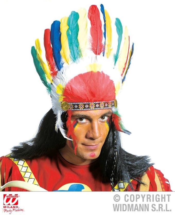 Indianentooi veren meerkleurig