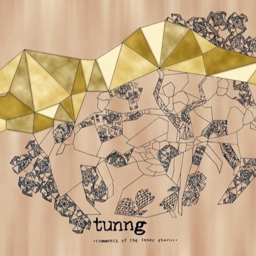 Tunng - Comments Of The Inner Chorus (CD)
