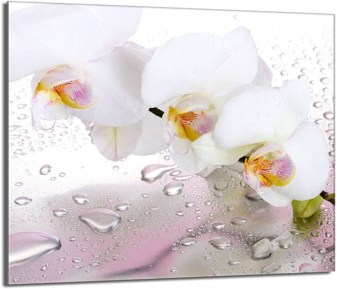 TMK ArtDeko - Orchidea - 60x52 - Gehard Glazen Kookplaatbescherming
