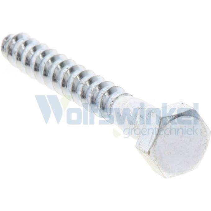 Hoenderdaal houtdraadbout gegalvaniseerd 10 x 80 mm din 571 - doos à 100 stuks