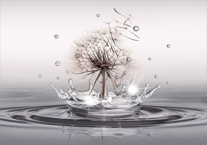 Fotobehang - Wind Drops.
