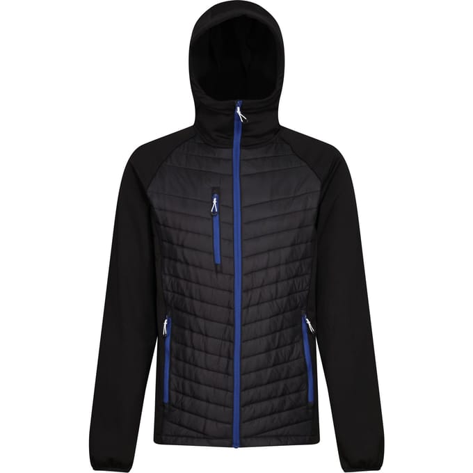 Regatta Heren Navigate Quilted Hybride Jas (Zwart/Nieuw Royal)