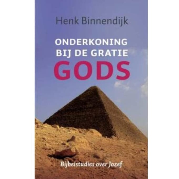 Onderkoning Bij De Gratie Gods - Henk Binnendijk