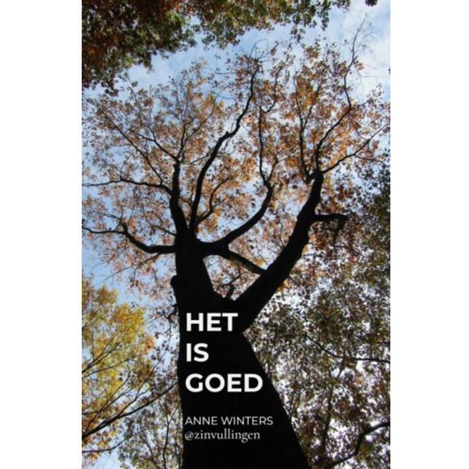Het Is Goed - Anne Winters