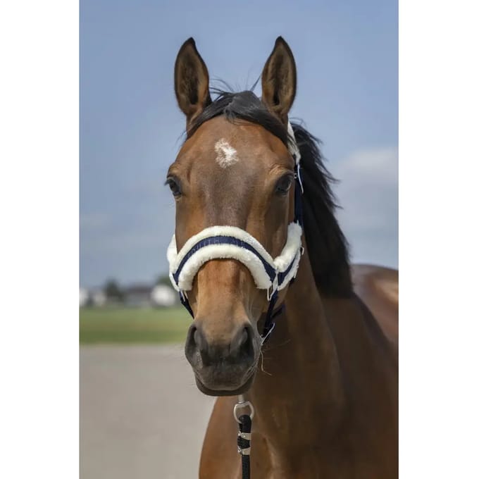 Schapenvacht nylon halster Equithème