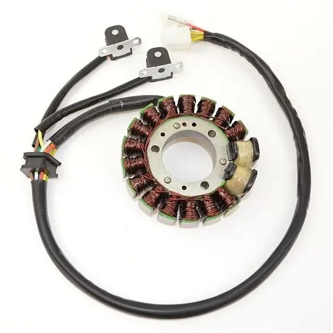 Aanpasbare dynamo Electrosport Suzuki