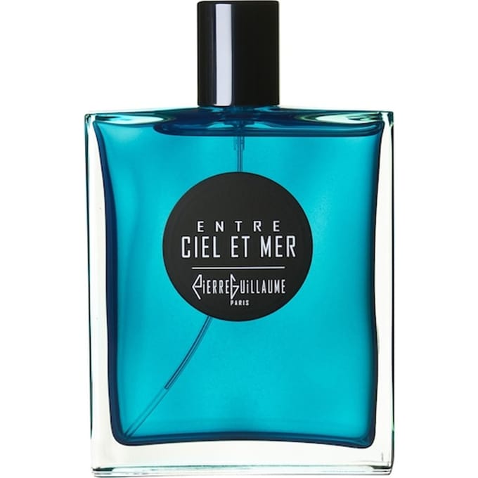 Pierre Guillaume Paris Cruise Collection Eau de Parfum Spray Herenparfum Unisex 100 ml