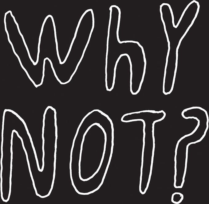 1/2 Japanese - Why Not? (CD)