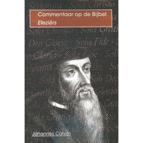 De Brief Van Paulus Aan / De Efeziërs - Johannes Calvijn