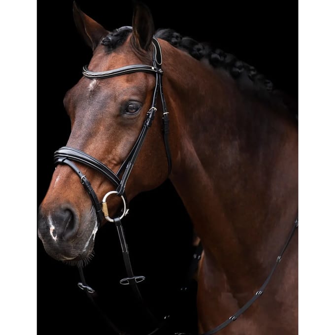 Gecombineerd hoofdstel met neusriem HV Polo Legacy