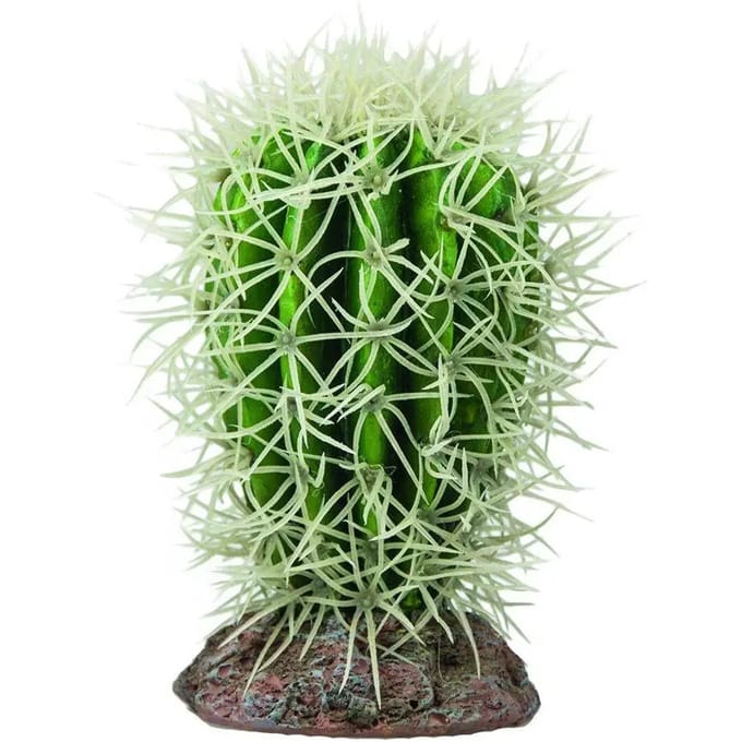 Cactus terrarium decoratie Hobby Great Basin