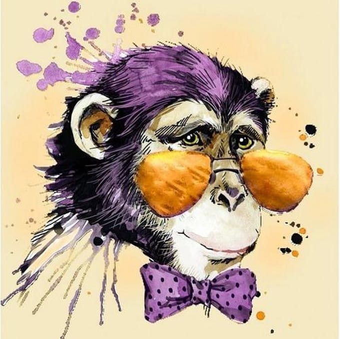 Mr. Monkey D'art Diamond Painting